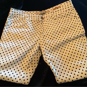 ZARA TRA POLKADOT SKINNY JEANS